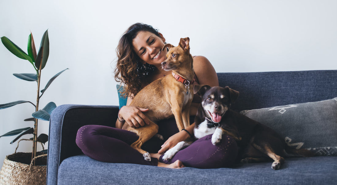 A maior prova de amor pelo seu pet está aqui!