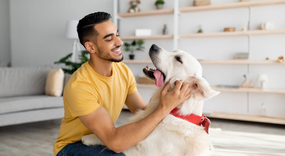 ASSISTÊNCIA PET: Proteção e carinho para quem sempre está ao seu lado!